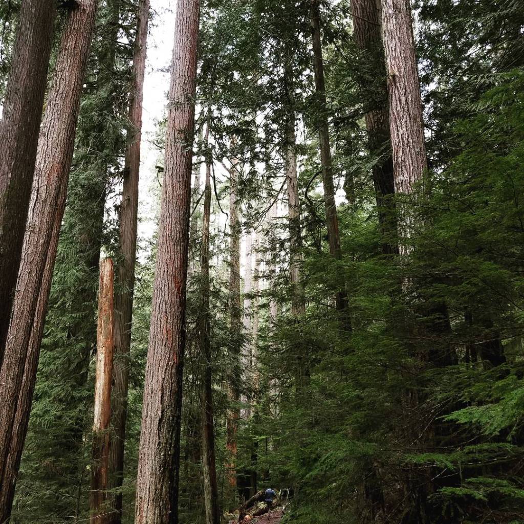 Don’t let work ruin you. Embody the Vacation Mindset, align your&nbsp;life.